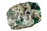 Aragonite Encrusted Fluorite Crystal Cluster - Rogerley Mine #143050-1